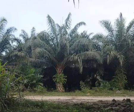 Meranto Junction