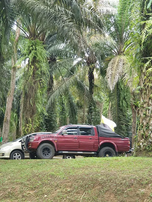 CCHPalmView Picture 1