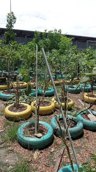 KEBUN KOMUNITI KRT TAMAN DAGANG F2A Picture 2