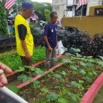 KEBUN KOMUNITI KRT TAMAN DAGANG F2A