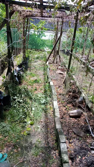 KEBUN KOMUNITI KRT TAMAN DAGANG F2A Picture 6