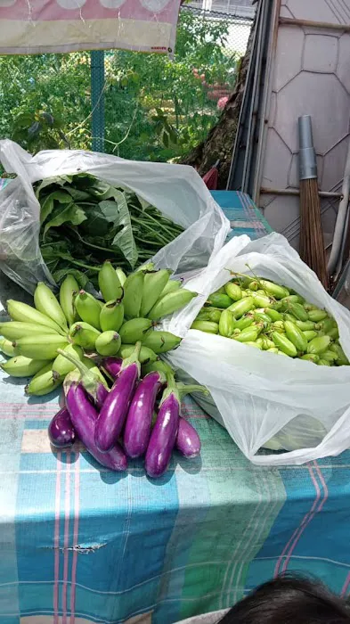 KEBUN KOMUNITI KRT TAMAN DAGANG F2A Picture 10