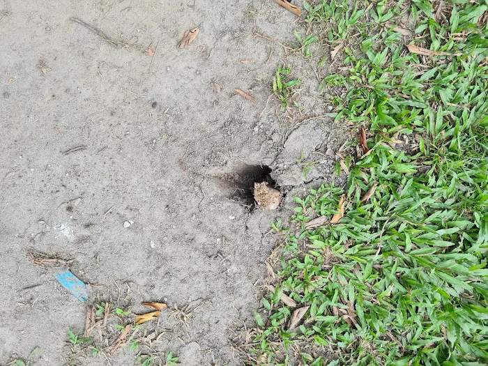 Taman Cahaya Indah (Park) Picture 3