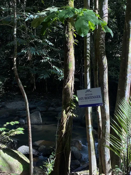 Trail Head to Batu Bertenggek Waterfall Picture 4