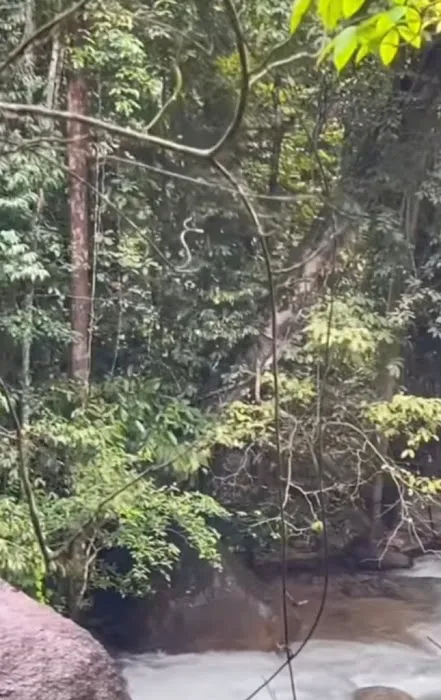 Air Terjun Batu Bertenggek Picture 10