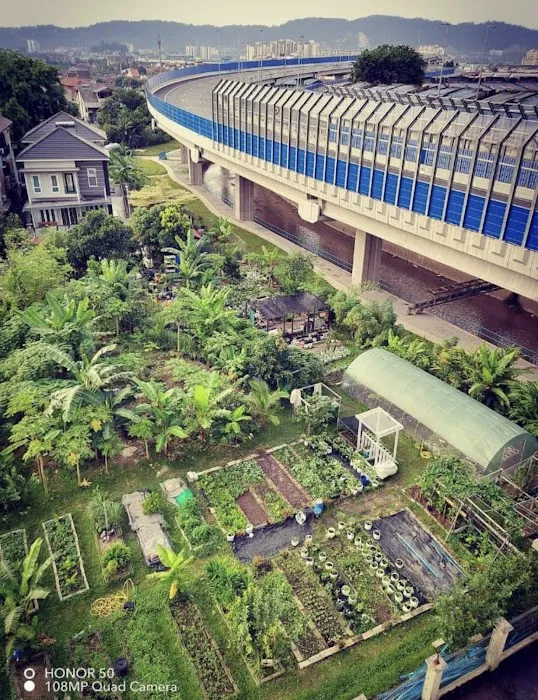 Kebun Komuniti Laman Hijau Picture 1