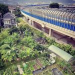 Kebun Komuniti Laman Hijau