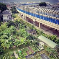 Kebun Komuniti Laman Hijau ico
