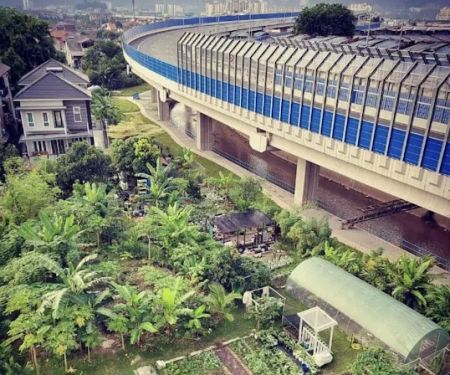 Kebun Komuniti Laman Hijau