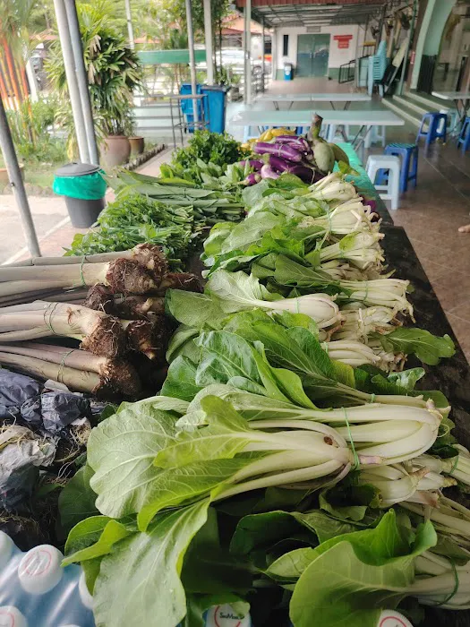 Kebun Komuniti Laman Hijau Picture 10