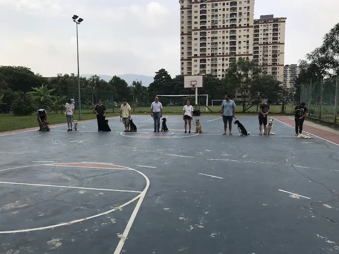Puppycom Ampang Training School Picture 1