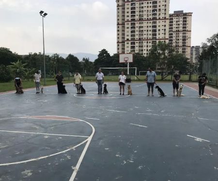 Puppycom Ampang Training School