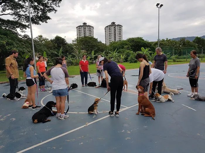 Puppycom Ampang Training School Picture 3