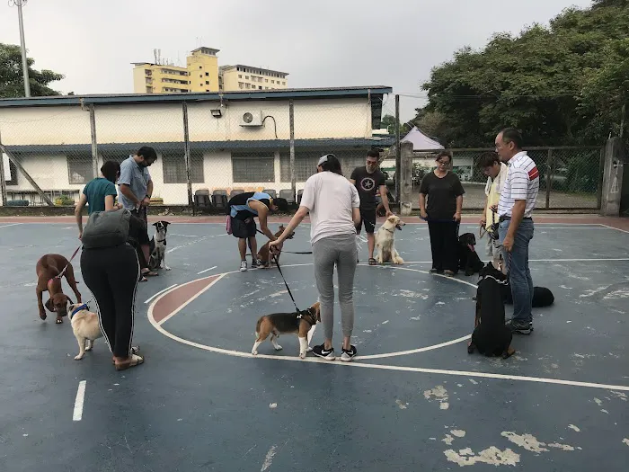 Puppycom Ampang Training School Picture 2