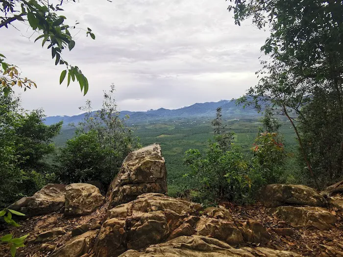Bukit Senorang - Puncak bukit Picture 3