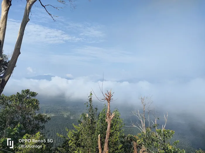 Bukit Senorang - Puncak bukit Picture 1