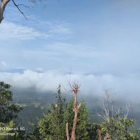 Bukit Senorang - Puncak bukit ico