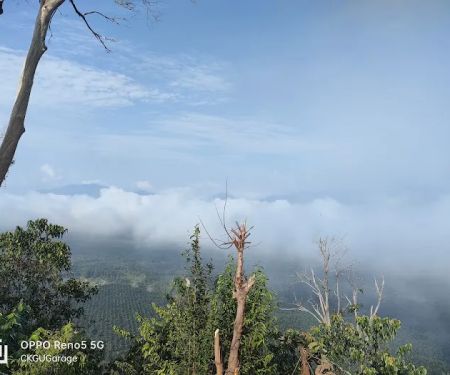 Bukit Senorang - Puncak bukit
