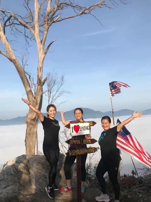 Bukit Senorang - Puncak bukit Picture 7