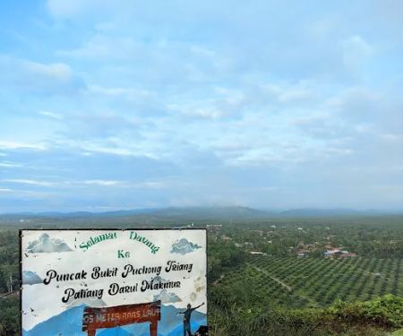 Menara Tinjau Puncak FELDA Bukit Puchong