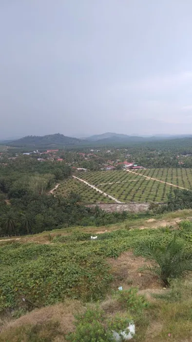 Menara Tinjau Puncak FELDA Bukit Puchong Picture 4