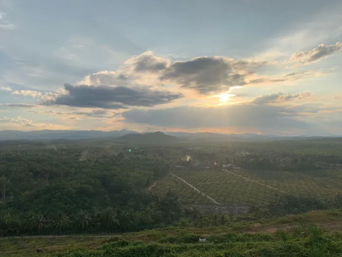 Menara Tinjau Puncak FELDA Bukit Puchong Picture 6