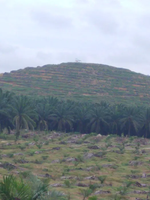 Menara Tinjau Puncak FELDA Bukit Puchong Picture 5