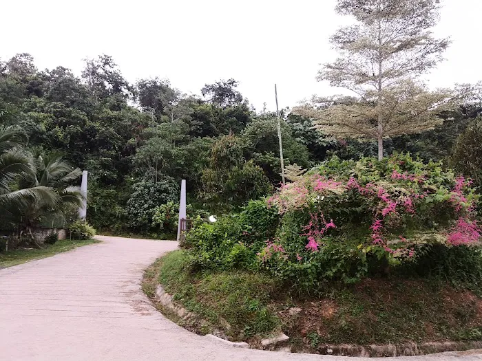 Musang King Raub Restaurant Picture 4