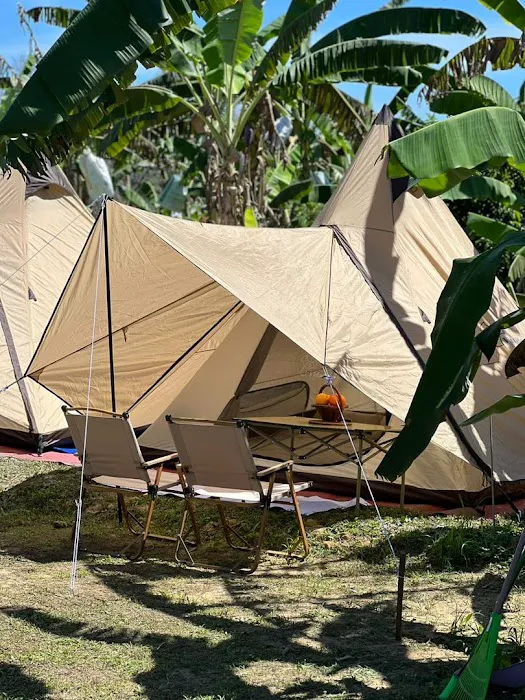 Urban Hill Campsite Picture 6