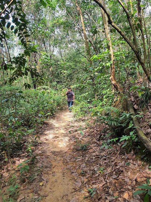 Bukit Serdang trailhead Picture 9