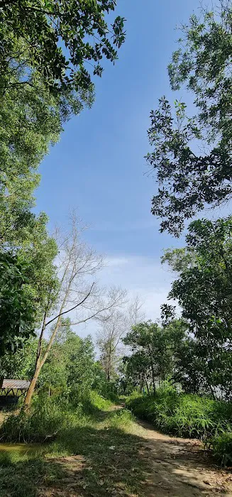 Bukit Serdang trailhead Picture 10