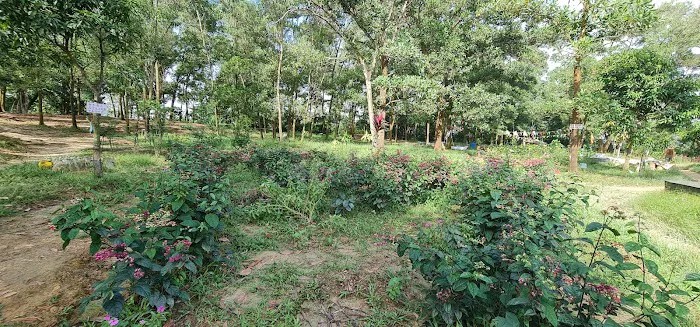 Bukit Serdang trailhead Picture 8