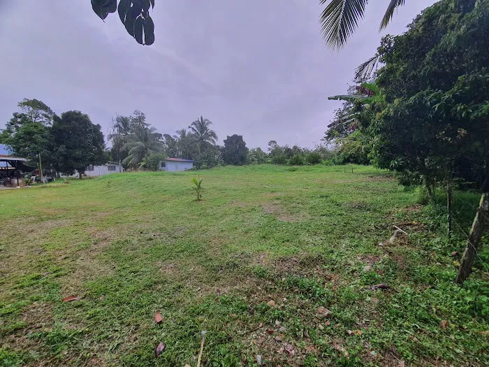 PUNDUNG AFNA Picture 3