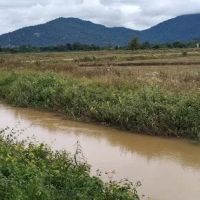 Kelompok Tanaman Padi Sg Buloh ico