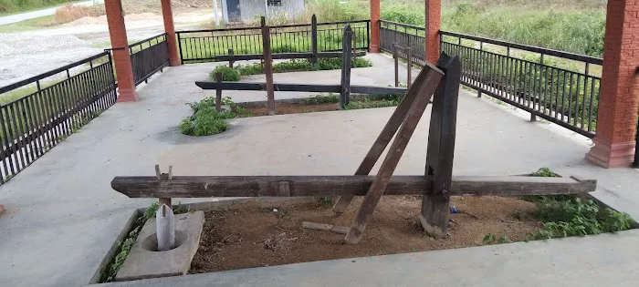 Kelompok Tanaman Padi Sg Buloh Picture 6