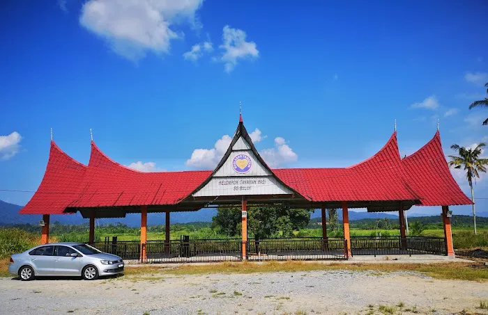 Kelompok Tanaman Padi Sg Buloh Picture 10
