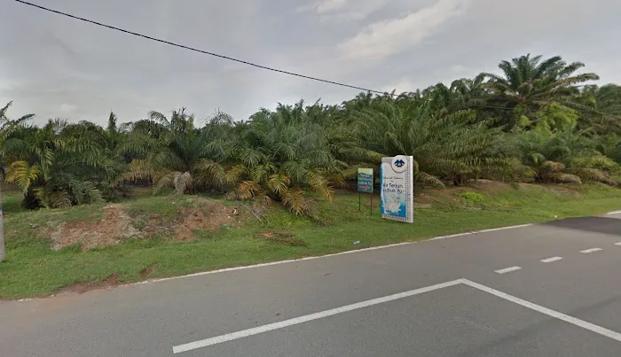 Ladang Arwah Hj Sharit Picture 2