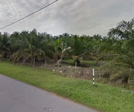 Ladang Arwah Hj Sharit