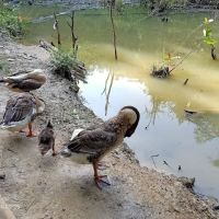 Bukit Serdang Trail | Taman Universiti Indah Entrance ico