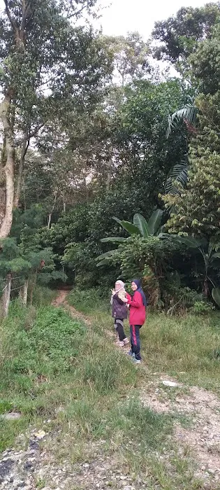 Bukit Serdang Trail | Taman Universiti Indah Entrance Picture 7