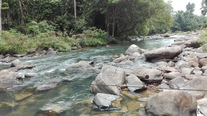 Taman Ecorimba, Lubuk Yu Picture 1