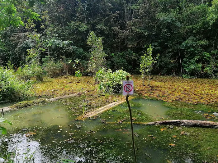Bukit Serdang Hiking Trail Picture 6