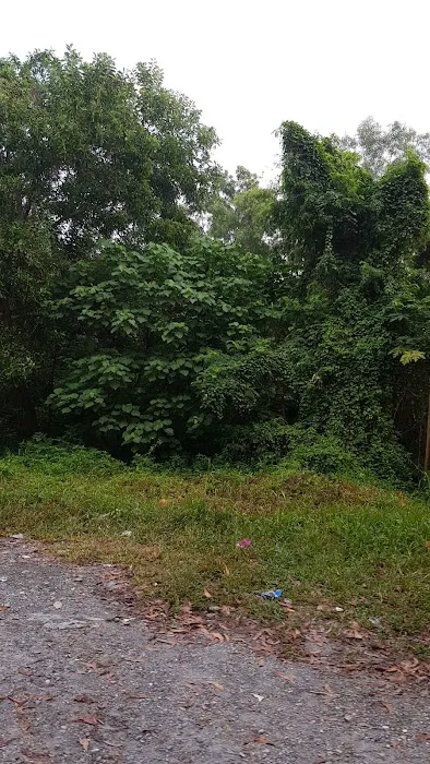 Bukit Serdang Trails Picture 3