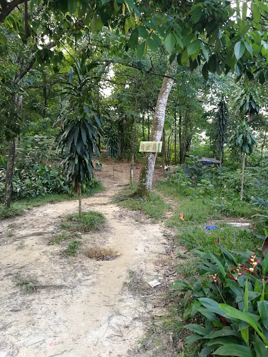 Bukit Serdang Trails Picture 6