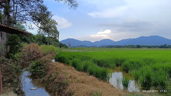 Empangan Sungai Buloh Picture 4