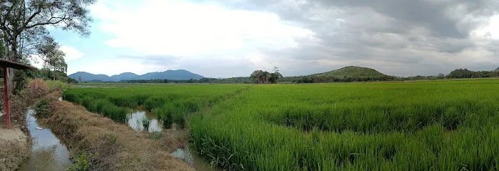 Empangan Sungai Buloh Picture 1