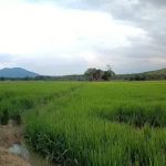 Empangan Sungai Buloh