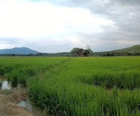 Empangan Sungai Buloh
