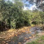 Taman Rekreasi Che Minah Sayang