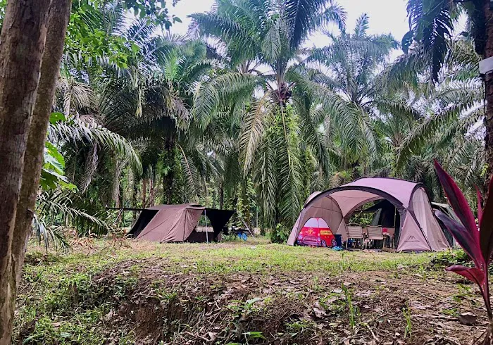 Beratapsawit Campsite Picture 6